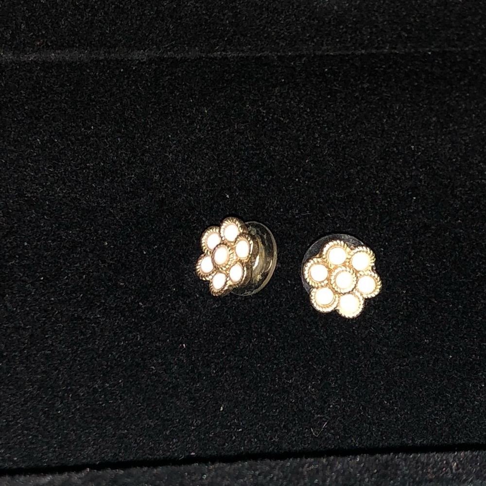 Stella & Dot Earrings